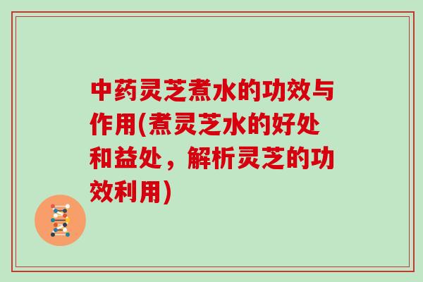 中药灵芝煮水的功效与作用(煮灵芝水的好处和益处，解析灵芝的功效利用)