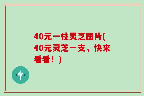 40元一枝灵芝图片(40元灵芝一支，快来看看！)