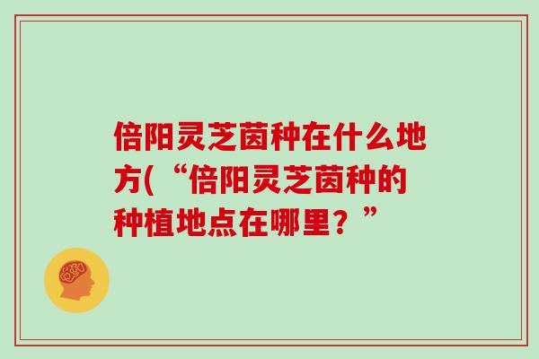 倍阳灵芝茵种在什么地方(“倍阳灵芝茵种的种植地点在哪里?”-第1张图片-灵芝大师 倍阳灵芝茵种在什么地方(“倍阳灵芝茵种的种植地点在哪里?”-第1张图片-灵芝大师