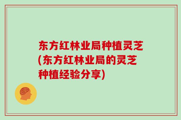 东方红林业局种植灵芝(东方红林业局的灵芝种植经验分享)-第1张图片-灵芝大师 东方红林业局种植灵芝(东方红林业局的灵芝种植经验分享)-第1张图片-灵芝大师