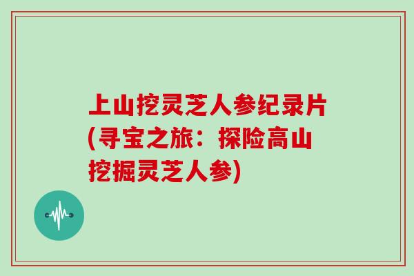 上山挖灵芝人参纪录片(寻宝之旅：探险高山挖掘灵芝人参)