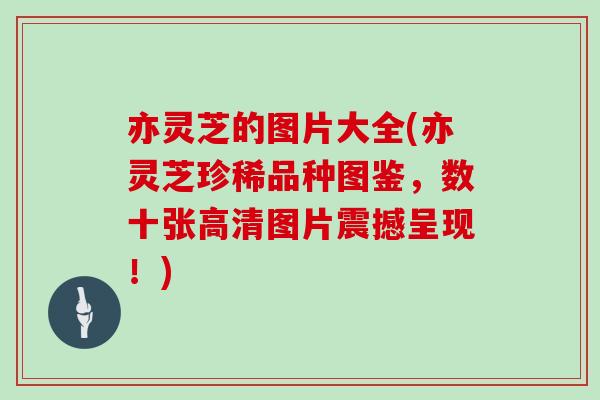亦灵芝的图片大全(亦灵芝珍稀品种图鉴，数十张高清图片震撼呈现！)