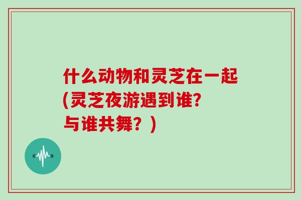 什么动物和灵芝在一起(灵芝夜游遇到谁？ 与谁共舞？)