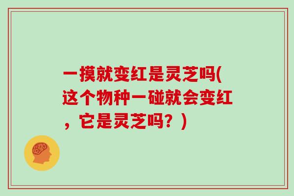 一摸就变红是灵芝吗(这个物种一碰就会变红，它是灵芝吗？)