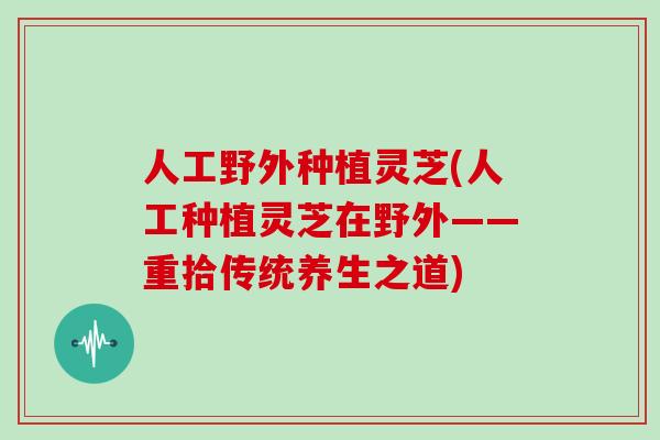 人工野外种植灵芝(人工种植灵芝在野外——重拾传统养生之道)-第1张图片-灵芝大师 人工野外种植灵芝(人工种植灵芝在野外——重拾传统养生之道)-第1张图片-灵芝大师