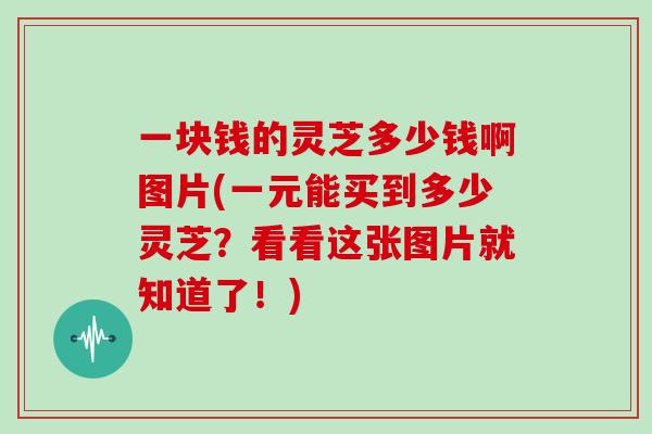 一块钱的灵芝多少钱啊图片(一元能买到多少灵芝？看看这张图片就知道了！)