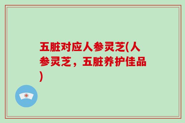 五脏对应人参灵芝(人参灵芝，五脏养护佳品)