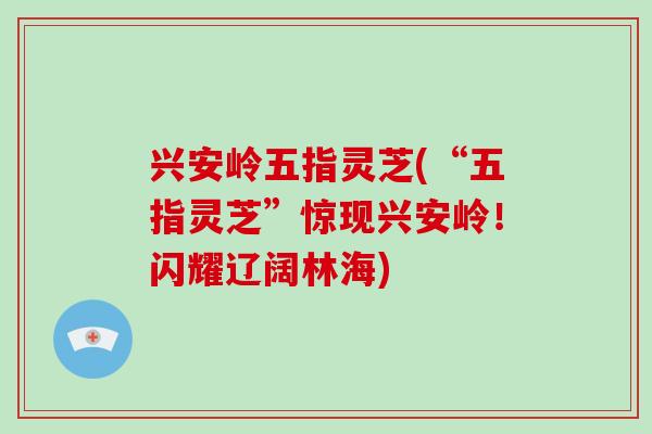 兴安岭五指灵芝(“五指灵芝”惊现兴安岭！闪耀辽阔林海)