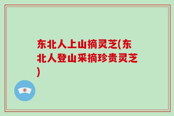 东北人上山摘灵芝(东北人登山采摘珍贵灵芝)