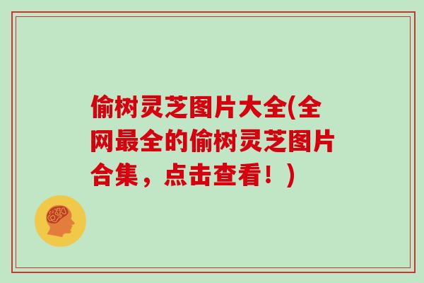 偷树灵芝图片大全(全网最全的偷树灵芝图片合集，点击查看！)