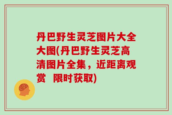 丹巴野生灵芝图片大全大图(丹巴野生灵芝高清图片全集，近距离观赏  限时获取)