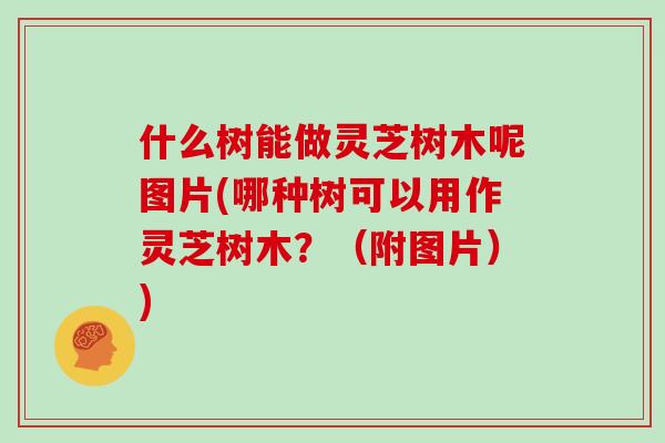 什么树能做灵芝树木呢图片(哪种树可以用作灵芝树木？（附图片）)