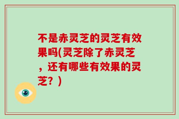 不是赤灵芝的灵芝有效果吗(灵芝除了赤灵芝，还有哪些有效果的灵芝？)