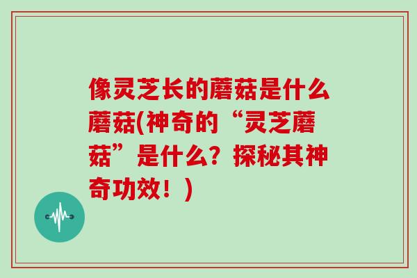 像灵芝长的蘑菇是什么蘑菇(神奇的“灵芝蘑菇”是什么？探秘其神奇功效！)