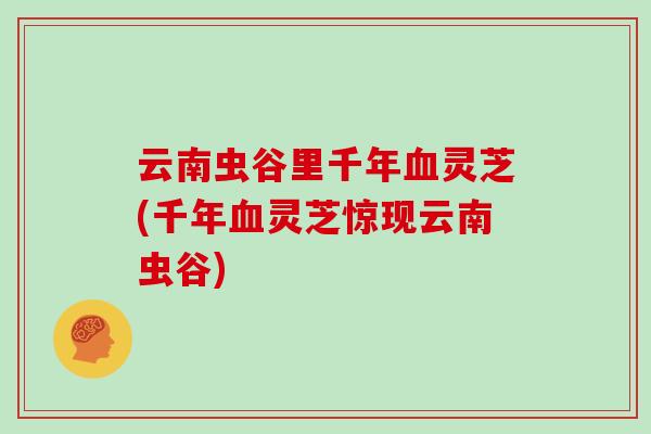 云南虫谷里千年血灵芝(千年血灵芝惊现云南虫谷)