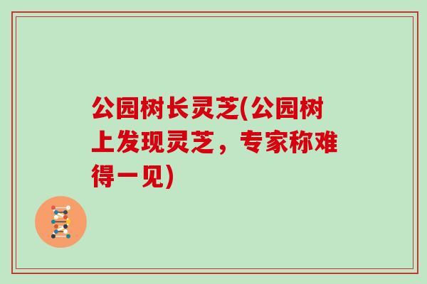 公园树长灵芝(公园树上发现灵芝，专家称难得一见)