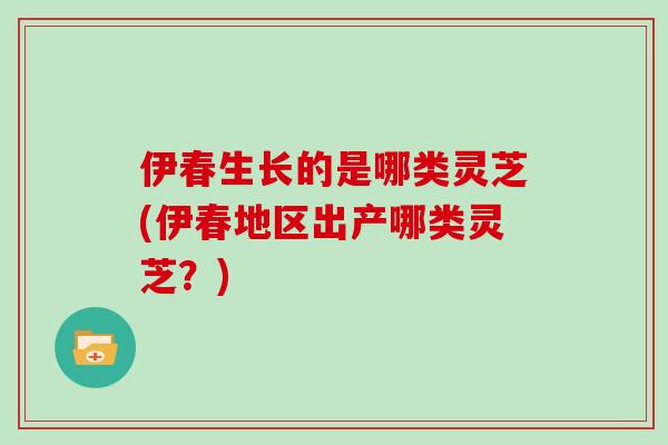 伊春生长的是哪类灵芝(伊春地区出产哪类灵芝？)