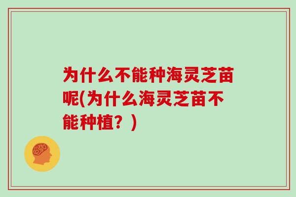 为什么不能种海灵芝苗呢(为什么海灵芝苗不能种植？)