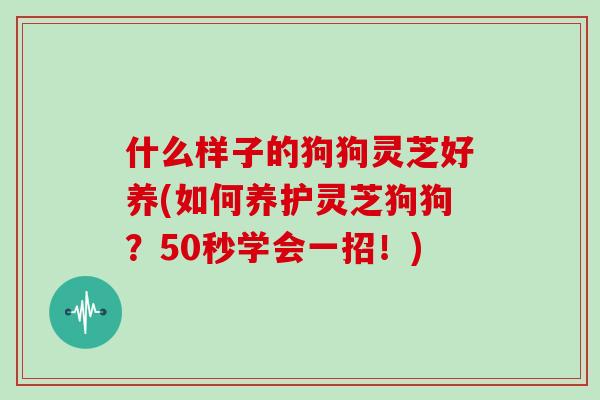 什么样子的狗狗灵芝好养(如何养护灵芝狗狗？50秒学会一招！)