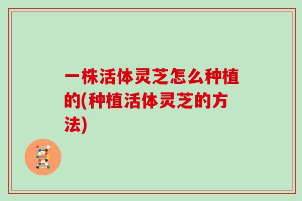一株活体灵芝怎么种植的(种植活体灵芝的方法)-第1张图片-灵芝大师 一株活体灵芝怎么种植的(种植活体灵芝的方法)-第1张图片-灵芝大师