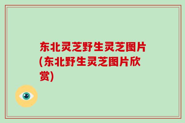 东北灵芝野生灵芝图片(东北野生灵芝图片欣赏)