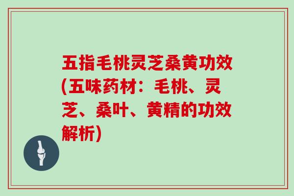 五指毛桃灵芝桑黄功效(五味药材：毛桃、灵芝、桑叶、黄精的功效解析)