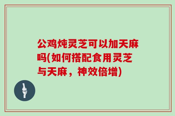 公鸡炖灵芝可以加天麻吗(如何搭配食用灵芝与天麻,神效倍增)-第1张图片-灵芝大师 公鸡炖灵芝可以加天麻吗(如何搭配食用灵芝与天麻,神效倍增)-第1张图片-灵芝大师