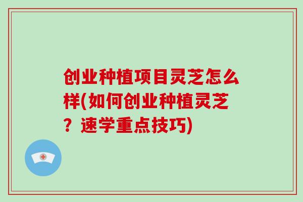 创业种植项目灵芝怎么样(如何创业种植灵芝？速学重点技巧)