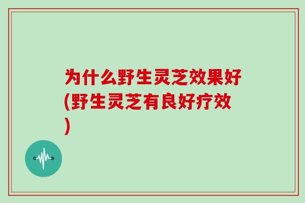 为什么野生灵芝效果好(野生灵芝有良好疗效)