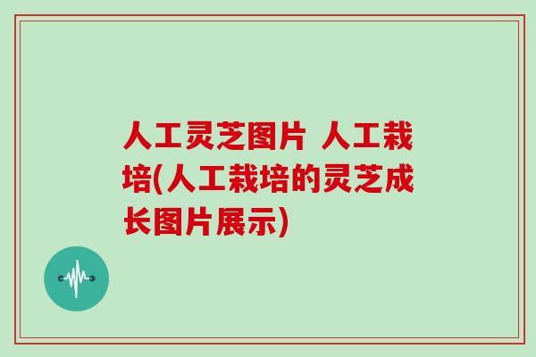 人工灵芝图片 人工栽培(人工栽培的灵芝成长图片展示)