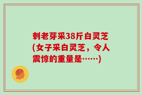 刺老芽采38斤白灵芝(女子采白灵芝，令人震惊的重量是……)