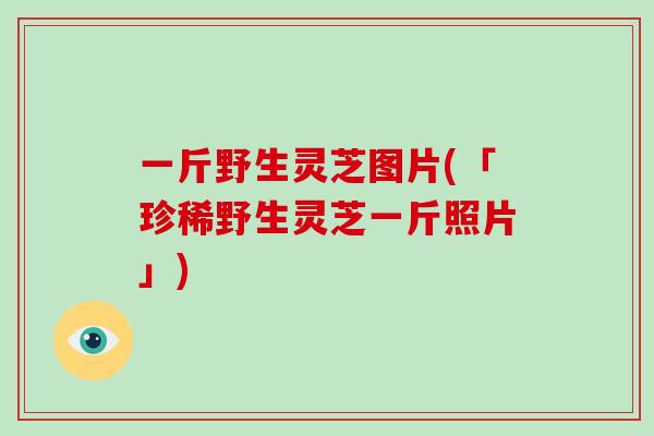 一斤野生灵芝图片(「珍稀野生灵芝一斤照片」)