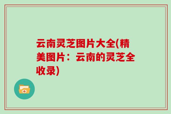 云南灵芝图片大全(精美图片:云南的灵芝全收录)-第1张图片-灵芝大师 云南灵芝图片大全(精美图片:云南的灵芝全收录)-第1张图片-灵芝大师