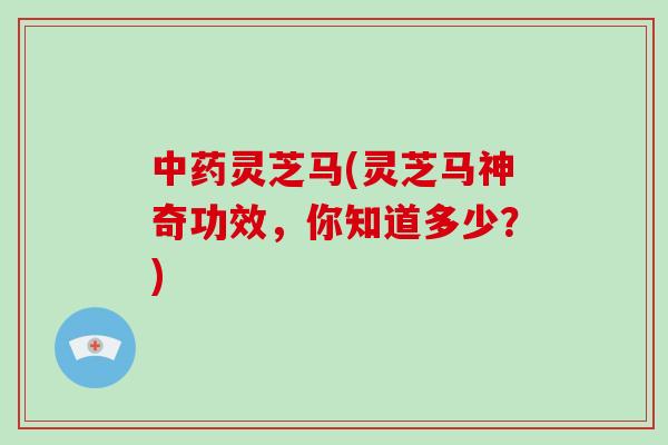 中药灵芝马(灵芝马神奇功效，你知道多少？)