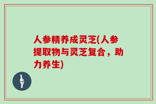 人参精养成灵芝(人参提取物与灵芝复合，助力养生)