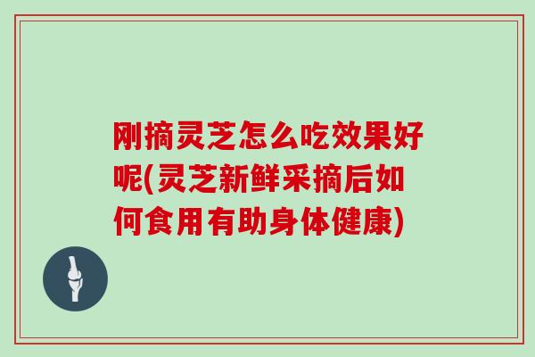刚摘灵芝怎么吃效果好呢(灵芝新鲜采摘后如何食用有助身体健康)