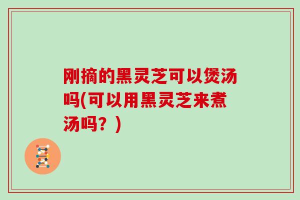 刚摘的黑灵芝可以煲汤吗(可以用黑灵芝来煮汤吗？)