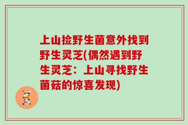 上山捡野生菌意外找到野生灵芝(偶然遇到野生灵芝:上山寻找野生菌菇的惊喜发现)-第1张图片-灵芝大师 上山捡野生菌意外找到野生灵芝(偶然遇到野生灵芝:上山寻找野生菌菇的惊喜发现)-第1张图片-灵芝大师
