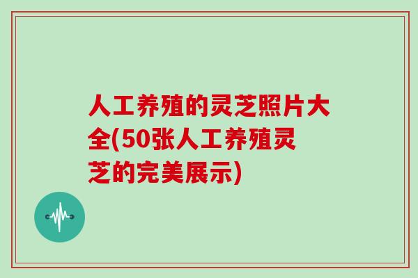 人工养殖的灵芝照片大全(50张人工养殖灵芝的完美展示)