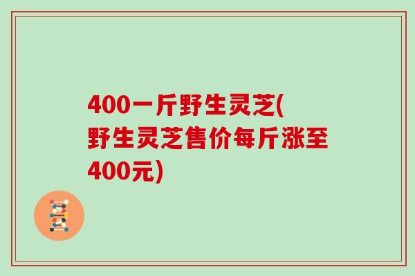 400一斤野生灵芝(野生灵芝售价每斤涨至400元)