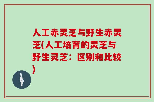 人工赤灵芝与野生赤灵芝(人工培育的灵芝与野生灵芝：区别和比较)