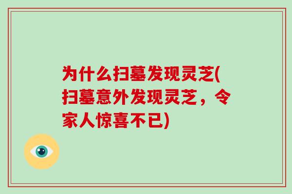 为什么扫墓发现灵芝(扫墓意外发现灵芝,令家人惊喜不已)-第1张图片-灵芝大师 为什么扫墓发现灵芝(扫墓意外发现灵芝,令家人惊喜不已)-第1张图片-灵芝大师