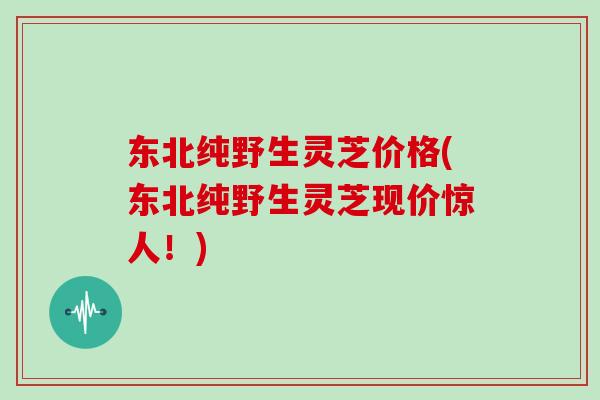 东北纯野生灵芝价格(东北纯野生灵芝现价惊人！)