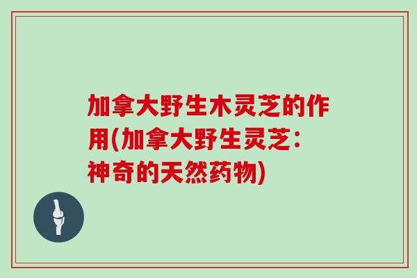 加拿大野生木灵芝的作用(加拿大野生灵芝：神奇的天然药物)