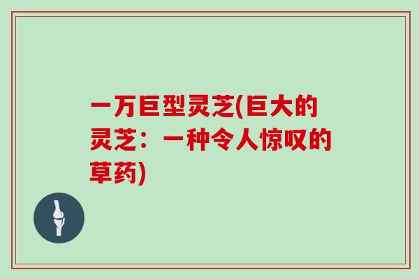 一万巨型灵芝(巨大的灵芝：一种令人惊叹的草药)
