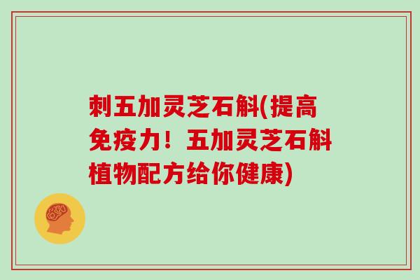 刺五加灵芝石斛(提高免疫力！五加灵芝石斛植物配方给你健康)