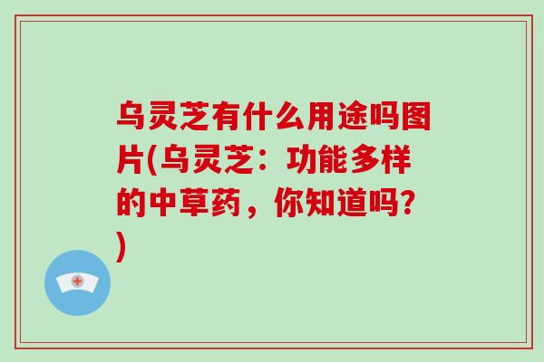 乌灵芝有什么用途吗图片(乌灵芝：功能多样的中草药，你知道吗？)
