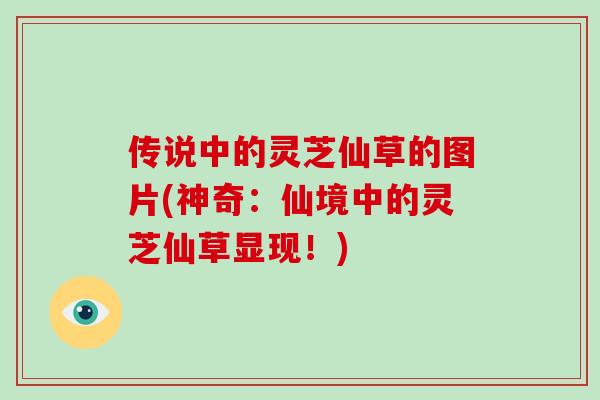 传说中的灵芝仙草的图片(神奇:仙境中的灵芝仙草显现!)-第1张图片-灵芝大师 传说中的灵芝仙草的图片(神奇:仙境中的灵芝仙草显现!)-第1张图片-灵芝大师