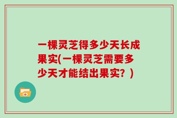 一棵灵芝得多少天长成果实(一棵灵芝需要多少天才能结出果实？)