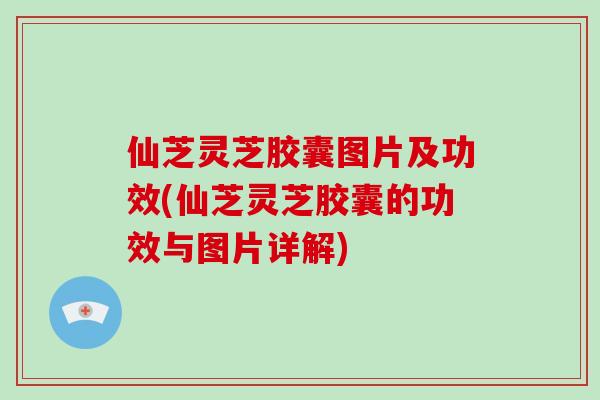 仙芝灵芝胶囊图片及功效(仙芝灵芝胶囊的功效与图片详解)